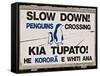 Sign Warning Drivers About Penguins in the Road, Wellington, North Island, New Zealand-Don Smith-Framed Stretched Canvas