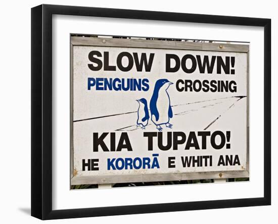 Sign Warning Drivers About Penguins in the Road, Wellington, North Island, New Zealand-Don Smith-Framed Photographic Print