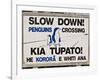 Sign Warning Drivers About Penguins in the Road, Wellington, North Island, New Zealand-Don Smith-Framed Photographic Print