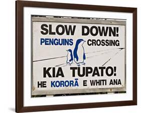 Sign Warning Drivers About Penguins in the Road, Wellington, North Island, New Zealand-Don Smith-Framed Photographic Print