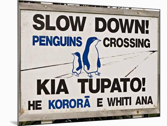 Sign Warning Drivers About Penguins in the Road, Wellington, North Island, New Zealand-Don Smith-Mounted Photographic Print