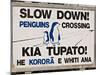 Sign Warning Drivers About Penguins in the Road, Wellington, North Island, New Zealand-Don Smith-Mounted Photographic Print