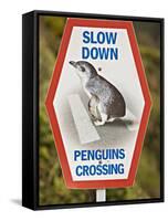 Sign Warning Drivers About Penguins in the Road, Wellington, North Island, New Zealand-Don Smith-Framed Stretched Canvas