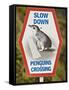 Sign Warning Drivers About Penguins in the Road, Wellington, North Island, New Zealand-Don Smith-Framed Stretched Canvas