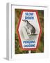 Sign Warning Drivers About Penguins in the Road, Wellington, North Island, New Zealand-Don Smith-Framed Photographic Print