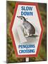 Sign Warning Drivers About Penguins in the Road, Wellington, North Island, New Zealand-Don Smith-Mounted Photographic Print