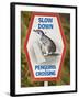 Sign Warning Drivers About Penguins in the Road, Wellington, North Island, New Zealand-Don Smith-Framed Photographic Print