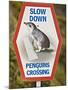 Sign Warning Drivers About Penguins in the Road, Wellington, North Island, New Zealand-Don Smith-Mounted Photographic Print