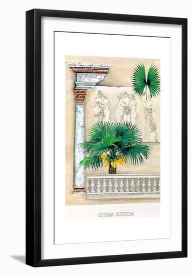 Signa Revisa I-G^ Piana-Framed Art Print