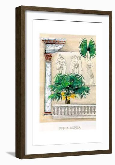 Signa Revisa I-G^ Piana-Framed Art Print