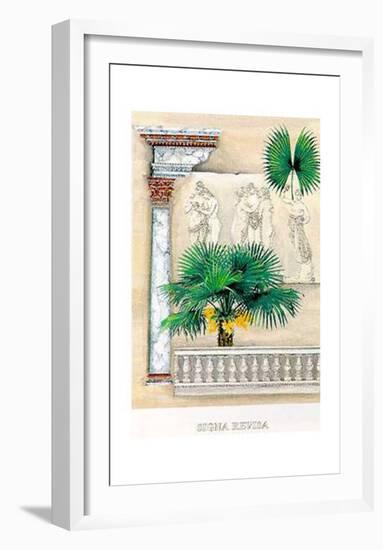 Signa Revisa I-G^ Piana-Framed Art Print