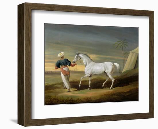 Signal, a Grey Arab, with a Groom in the Desert (Oil on Panel)-David of York Dalby-Framed Giclee Print