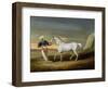 Signal, a Grey Arab, with a Groom in the Desert (Oil on Panel)-David of York Dalby-Framed Giclee Print