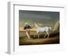 Signal, a Grey Arab, with a Groom in the Desert (Oil on Panel)-David of York Dalby-Framed Giclee Print