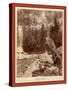 Signal Rock. Elk Canyon on Black Hills and Ft. P. R.R-John C. H. Grabill-Stretched Canvas