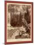Signal Rock. Elk Canyon on Black Hills and Ft. P. R.R-John C. H. Grabill-Mounted Giclee Print