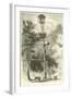 Signal Station, July 1864-null-Framed Giclee Print