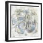 Signature II-Silvia Vassileva-Framed Art Print