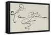 Signature of Clara Schumann-null-Framed Stretched Canvas