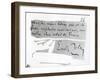 Signature of Emile Zola-null-Framed Giclee Print