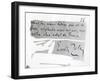 Signature of Emile Zola-null-Framed Giclee Print