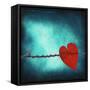 Signature-Philippe Sainte-Laudy-Framed Stretched Canvas