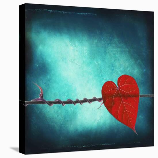 Signature-Philippe Sainte-Laudy-Stretched Canvas