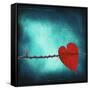 Signature-Philippe Sainte-Laudy-Framed Stretched Canvas