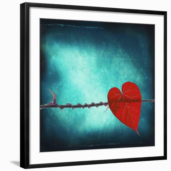 Signature-Philippe Sainte-Laudy-Framed Giclee Print