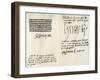 Signatures of Henry VII, Elizabeth of York, Henry VIII and Catherine of Aragon, 16th Century-Elizabeth of York-Framed Giclee Print