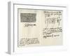 Signatures of Henry VII, Elizabeth of York, Henry VIII and Catherine of Aragon, 16th Century-Elizabeth of York-Framed Giclee Print