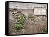 Signboard on a Weathered Wall, Appian Way, Rome, Lazio, Italy-null-Framed Stretched Canvas