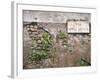 Signboard on a Weathered Wall, Appian Way, Rome, Lazio, Italy-null-Framed Photographic Print