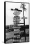 Signpost at Watson Lake, Alaska on Alaska Highway Photograph - Watson Lake, AK-Lantern Press-Framed Stretched Canvas