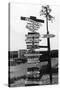 Signpost at Watson Lake, Alaska on Alaska Highway Photograph - Watson Lake, AK-Lantern Press-Stretched Canvas