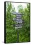 Signpost Near Flam, Norway, Scandinavia, Europe-Amanda Hall-Framed Stretched Canvas