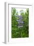 Signpost Near Flam, Norway, Scandinavia, Europe-Amanda Hall-Framed Photographic Print