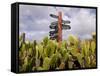 Signpost Standing Among Cactuses, Barbados, West Indies, Caribbean, Central America-Michael Runkel-Framed Stretched Canvas