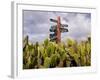 Signpost Standing Among Cactuses, Barbados, West Indies, Caribbean, Central America-Michael Runkel-Framed Photographic Print