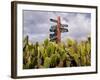 Signpost Standing Among Cactuses, Barbados, West Indies, Caribbean, Central America-Michael Runkel-Framed Photographic Print