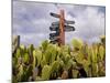 Signpost Standing Among Cactuses, Barbados, West Indies, Caribbean, Central America-Michael Runkel-Mounted Photographic Print