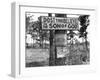 Signs along Highway-Marion Post Wolcott-Framed Photographic Print