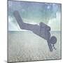 Signs_Diver-LightBoxJournal-Mounted Giclee Print