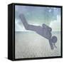 Signs_Diver-LightBoxJournal-Framed Stretched Canvas