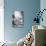 Signs Hanging over Renovation-null-Photographic Print displayed on a wall