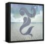 Signs_Mermaid-LightBoxJournal-Framed Stretched Canvas