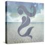 Signs_Mermaid-LightBoxJournal-Stretched Canvas