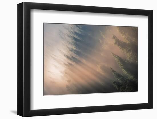 Signs of Autumn-Adrian Popan-Framed Photographic Print