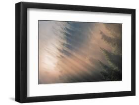 Signs of Autumn-Adrian Popan-Framed Photographic Print