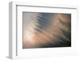 Signs of Autumn-Adrian Popan-Framed Photographic Print